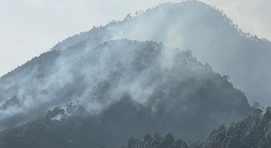 चमोली के जंगल एक बार फिर धू-धू कर जलने लगे