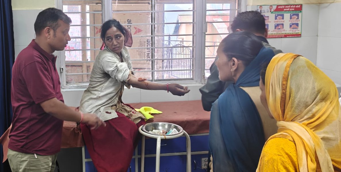 बाघ ने महिला पर हमला कर किया घायल