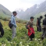 17 दिन में पहुंचे 3628 सैलानी फूलों की घाटी