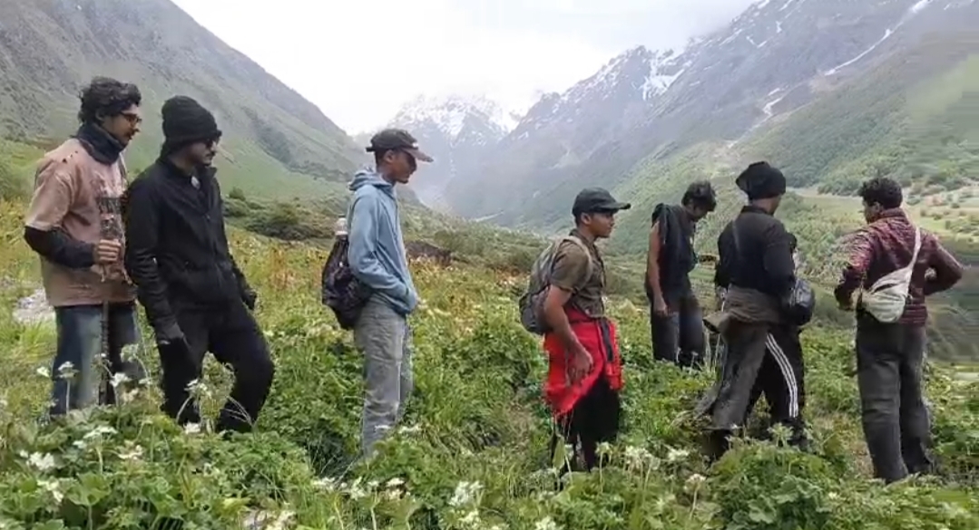 17 दिन में पहुंचे 3628 सैलानी फूलों की घाटी