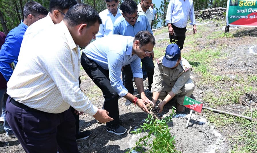 चमोली जिले में धूमधाम से बनाया गया हरेला पर्व