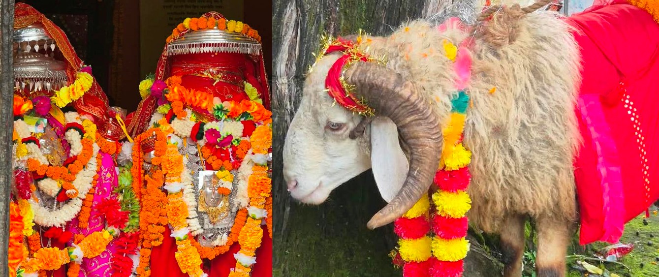 सिद्धपीठ कुरूड़ से नंदा की उत्सव ड़ोलियां शनिवार को कैलास होंगी रवाना